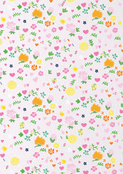 Fleurs &eacute;clatantes sur fond pastel